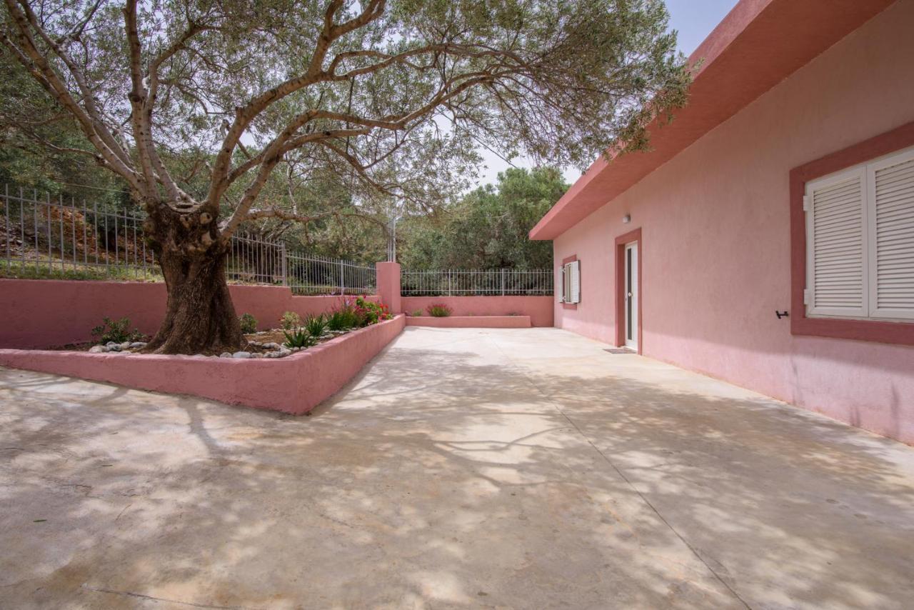 Palm Beach House Sfinárion Eksteriør billede