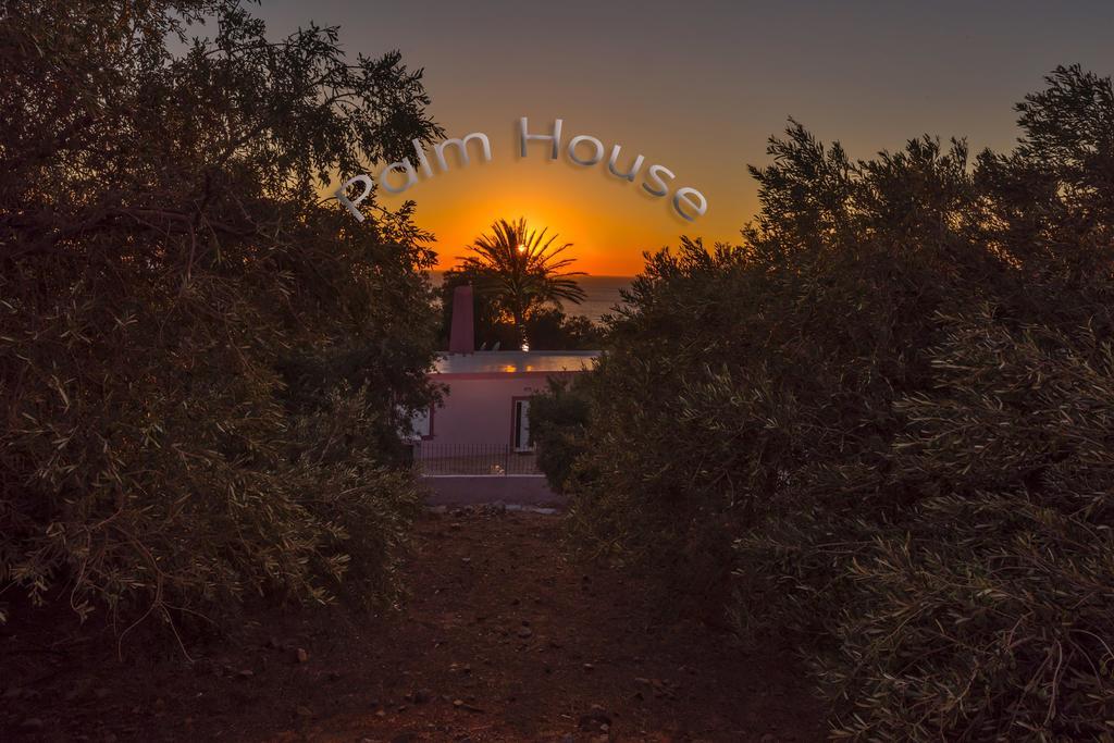 Palm Beach House Sfinárion Eksteriør billede