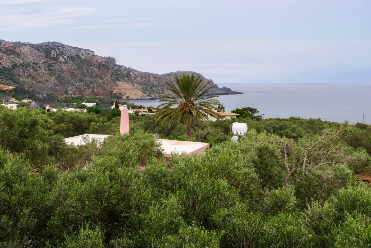 Palm Beach House Sfinárion Eksteriør billede